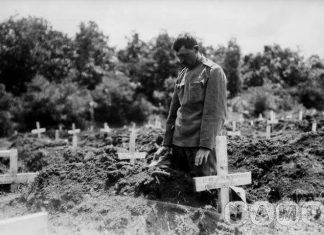 ПИСМА СРБА ИЗ РУСИЈЕ: „… МИ ЗАРОБЉЕНИЦИ СРБИ, што смо се предали у Русију, нисмо ћели пуцати на браћу нашу Русе…“