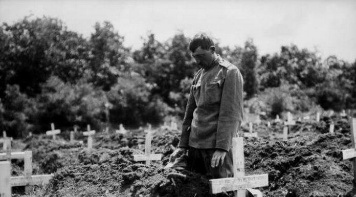 ПИСМА СРБА ИЗ РУСИЈЕ: „… МИ ЗАРОБЉЕНИЦИ СРБИ, што смо се предали у Русију, нисмо ћели пуцати на браћу нашу Русе…“