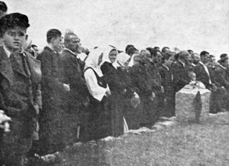 Одлазак учитеља с ученицима у рат: Како је Србија задивила свет